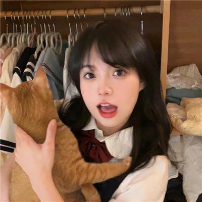 馨海蝶
